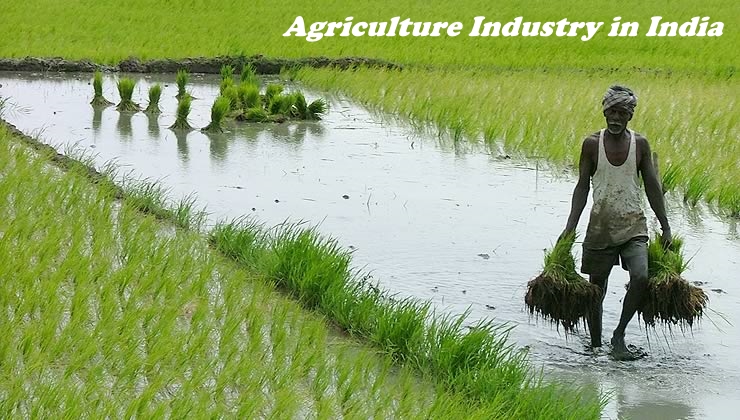Agriculture Industry in India