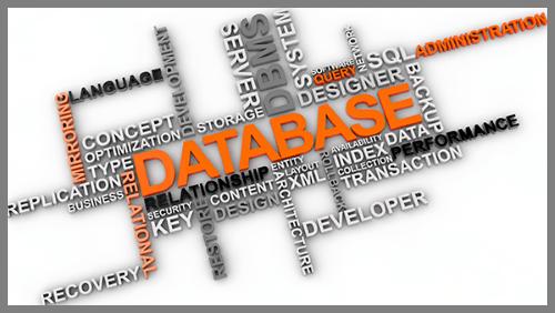 Database Management Courses