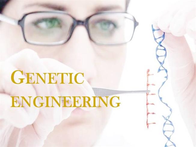 Genetic20Engineering1