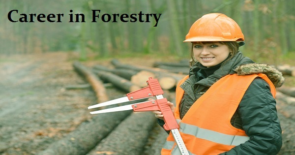 career in forestry1