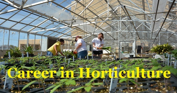 career options after bsc in horticulture1