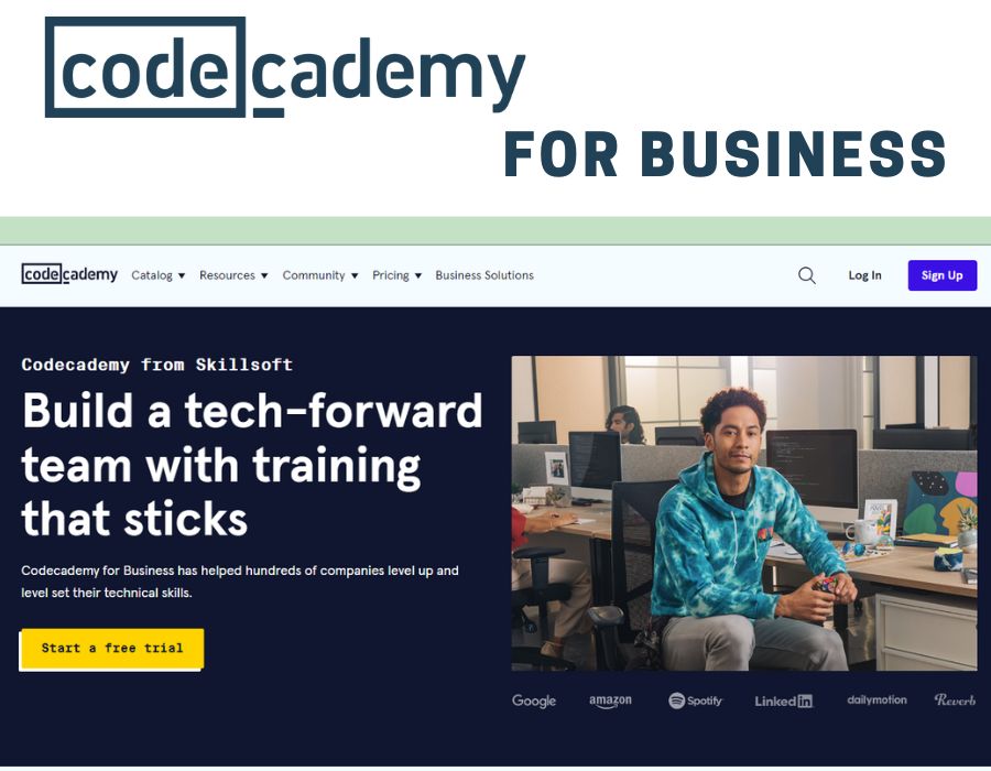Codecademy for business