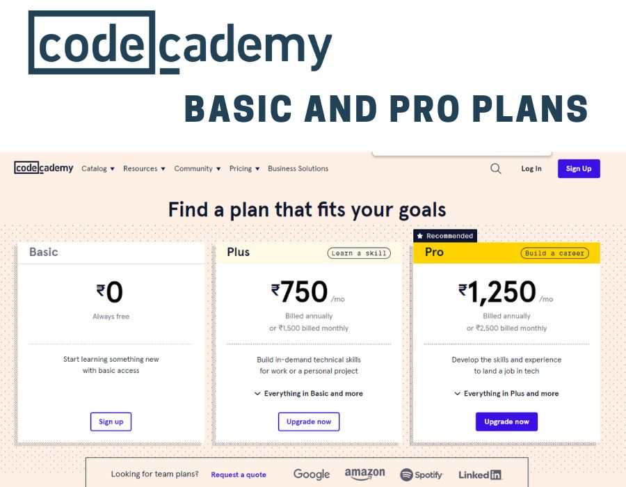 Codecademy Basic and Pro plans