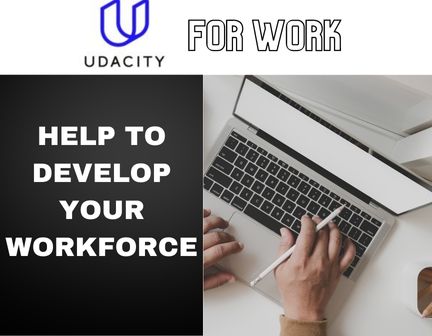 Udacity for work