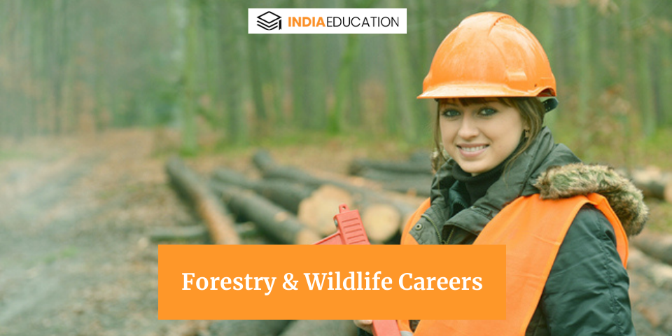 Best Forestry & Wildlife Careers : Courses, Jobs & Salary in India In 2023
