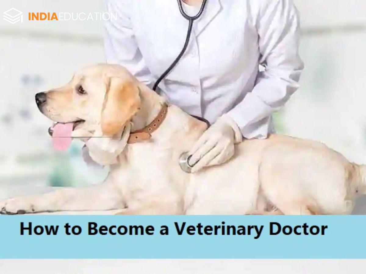 veterinary-doctor-how-to-become-a-veterinary-doctor-in-india-dgtl